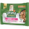 Affinity Ultima Ultima Cat Expert Nutrition Junior Pollo & Salmone - 4 x 70 g