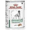 ROYAL CANIN Dog diabetic 410g
