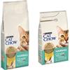 Cat Chow 15 kg Purina Cat Chow + Purina Cat Chow 1.5 kg Crocchette per gatti gratis! - 15 kg Hairball Control ricco in Pollo + 1, 5 kg Hairball Control ricco in Pollo