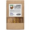 ARKA Foglie di Catappa Acquario 20.5-27 cm - Mandorlo L 10 pz | Foglie di catappa con sostanze umiche, condizionano l'acqua dolce, adatte a gamberetti e betta