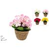Due Esse Christmas Pianta Artificiale con Fiori e Vaso Corda 4 Colori Assoriti