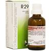 DR.RECKEWEG & CO. GMBH RECKEWEG R29 GOCCE 22ML