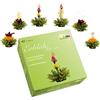 Creano Fiori di Tè in una Confezione Regalo per la Degustazione - Tè Verde (6 diversi tipi)