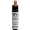 SANTIVERI SA AINSWORTHS GENTIAN 10ML
