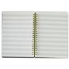 OY OY Quaderno Album spartito musicale con spirale in formato A5 15x21cm con 10 righe pentagramma colore Verde