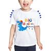 WAWSAM Grande Fratello Maglietta - Dinosauro Abiti da Fratello per Bambino Ragazzi 100% Cotone Promosso a Big Brother Shirt Bianca Stampa Colorato Manica Corta Regalo (Bianca, 2-3 Anni)