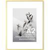 Feihorrm Cornice Portafoto A2 42 x 59,4 cm Alluminio Oro - Moderno Portafoto A2 per Foto, Manifesti, Opere d'Arte o Certificati - Stabile Cornice Fotografica in Metallo con Vetro Temperato per
