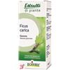 BOIRON SRL FICUS CARICA BOIRON MACERATO GLICERICO 60 ML