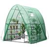 HOMASIS Serra Tunnel con Porta a Rullo e 2 Finestre, Serra da Giardino in PE e Telaio in Metallo, Serra da Balcone per Pomodori, 181 x 181 x 200 cm (Verde)
