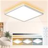 Wholede 24W 3240LM Plafoniera LED Soffitto, Lampadario LED Dimmerabile con Telecomando, 3000-6500K Lampadari Quadrata per Cucina, Bagno, Camera da Letto, Soggiorno, Balcone, Corridoio, Ufficio Ø29CM
