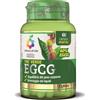 COLOURS OF LIFE The Verde 60 Capsule Ecgc Colours