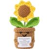 Dryxog Portafortuna Regali Divertenti Peluche Regali Positivi Famiglia Gli Amici Positiva Carina Mini Uncinetto Bambola Portafortuna Regalo Positivo Migliore Amica con Carta Positiva (Girasole)