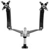 Startech.Com Supporto monitor TV scrivania ( 20 Kg ) VESA 100 x 100 Doppio