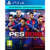 Konami PES 2018 Premium D1 Edition - PlayStation 4 [Edizione: Francia]