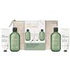 Baylis & Harding Wellness. Energise