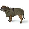 Hunter Cappotto per Pug e Bulldog Nordby Verde Oliva, 40-cm