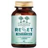 SALUGEA (RELOAD Srl) Salugea Reset Intestino 60 Capsule (SCAD.08/2028)