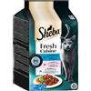 Sheba Delices Gourmands 36 x 50 g - Taste of Tokyo - Tonno, Salmone, Pesce bianco in salsa