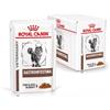 Royal Canin Veterinary Diet Gastrointestinal Umido Feline fettine in salsa multipack - 12 buste da 85 gr - Dieta Veterinaria per Gatti - 1° ORDINE? scegli lo sconto BZR5 / BZR20 + 200 punti fedeltà