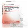 Guna - Heel Glandula Thyroidea Suis Injeel 10 Fiale