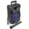 Karma Diffusore Amplificato Con Radiomicrofono 300W PMPO Karma - LX 8