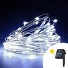 Wisdom Stringa 10 metri da 100 MicroLed Bianco Freddo con pannello solare Wisdom
