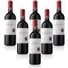 Chianti Classico DOCG Clemente VII 6 bottiglie cl. 75 Castelli del Grevepesa