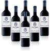 Chianti DOCG Pontormo 6 bottiglie Magnum 1,5 litri Castelli Del Grevepesa