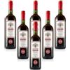 Liquori Dopo Teatro Amaro Vermouth di Torino Vermouth Cocchi 6 bottiglie 75 cl.