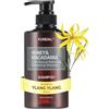 KUNDAL Shampoo naturale al miele e macadamia, 500 ml (H. ylang ylang)