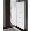 Dmora - Armadio Portascarpe Washington a 5 Ante a Ribalta, Scarpiera Alta da Ingresso Moderna, 70x17h180 cm, Bianco Lucido