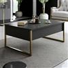 Dmora Tavolino da Salotto Canis, Tavolo Basso da caffè, Portariviste per Divano, Ripiano da Soggiorno, 90x60h40 cm, Antracite e Oro