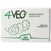 Alta Natura 4Veg Compresse 60 g