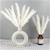 Feibmir 15 pezzi di erba della pampa naturale essiccata, soffice, decorazione per la casa, decorazione per soggiorno, camera da letto, bagno (bianco)