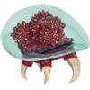 Nintendo Action Figure Metroid Prime da 15,2 cm - Personaggio Articolato Ufficiale con Dettagli Realistici, Perfetto per Collezionisti e Fan della Serie Videogiochi