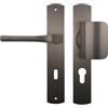 Bricard 99840T1 - Set di maniglie con cuscinetto per schizzo Zamak colore titanio + alettone profilo europeo (senza cilindro) per porta d'ingresso