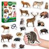 magdum Magneti Animali Foresta Bambini - 20 Figure Realistiche Grande Formato - Gioco Educativo Montessori - Attività Sensoriale Prescolare Aula Scuola - Regalo Bambini - Magdum