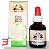 ERBENOBILI Srl FITOBLASTO FICUS CARICA 50ML