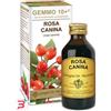 DR.GIORGINI SER-VIS Srl GEMMO 10+ ROSA CANINA LIQUIDO ANALCOLICO 100 ML