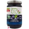 PROBIOS SRL SOCIETA' BENEFIT COMPOSTA DI MIRTILLI BIO CON POLPA DI MELA 320 G