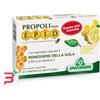 SPECCHIASOL Srl EPID GOLA MIELE LIMONE 20 COMPRESSE
