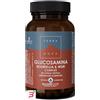 FORLIVE SRL TERRANOVA COMPLESSO DI GLUCOSAMINA BOSWELLIA E MSM 50 CAPSULE
