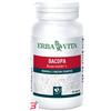 ERBA VITA GROUP SpA BACOPA 60 CAPSULE