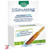 ESI Srl ESI BIOCOLLAGENIX AMPOLLA SINGOLA