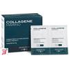 BIOS LINE SPA PRINCIPIUM COLLAGENE MARINO 20 BUSTINE