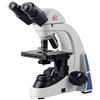 3B Scientific W30910 Microscopio Binoculare BE5