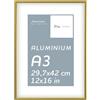 Pix FRAMES Cornice Foto - 29,7x42 (A3) - Portafoto da Parete in Alluminio - Elegante Cornici da Parete - Porta Foto da Muro - Leggera Quadretti da Parete - Moderno Portafoto - Oro