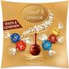 Lindt Cioccolato LINDOR Sharing | 250 g | Palline LINDOR con ripieno delicato in varietà latte, crosta fine 45%, bianco, caramello salato e nocciola | regalo di cioccolatini