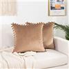 Elegant Comfort POMS - Set di 2 federe per cuscini quadrate in velluto morbido a tinta unita, decorative, per divano, letto, soggiorno, 45 x 45 cm, colore: tortora