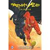 Lion La spilla. Batman/Flash